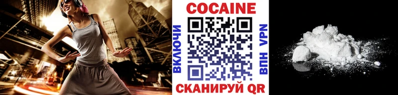 купить наркотик  Новохопёрск  Cocaine Fish Scale 