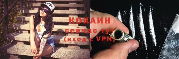 соль ск Бородино