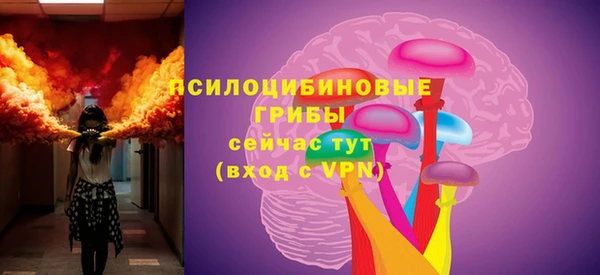 гидра Бронницы
