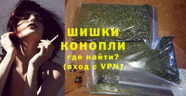 гидра Бронницы