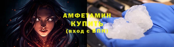 гидра Бронницы