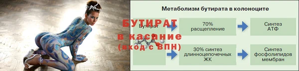 гидра Бронницы