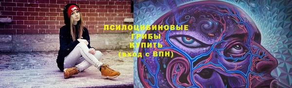 соль ск Бородино