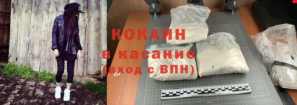 гидра Бронницы